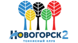 IT-услуги для компании Новогорск в Москве